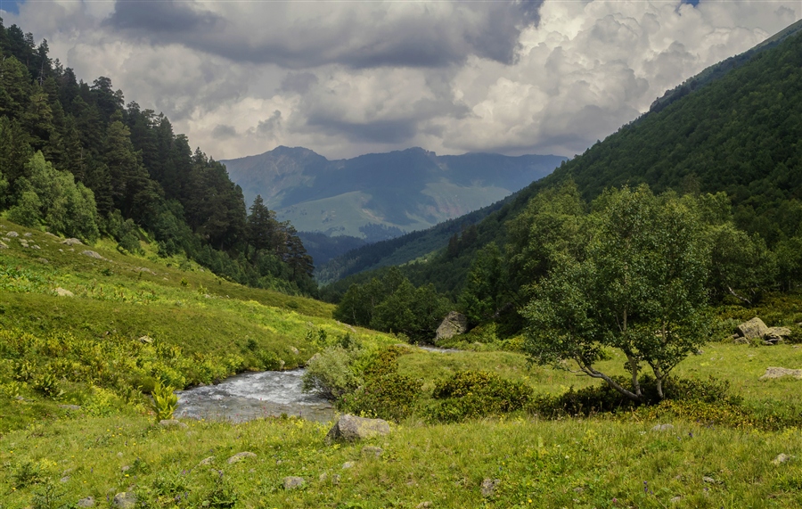 Фото жизнь