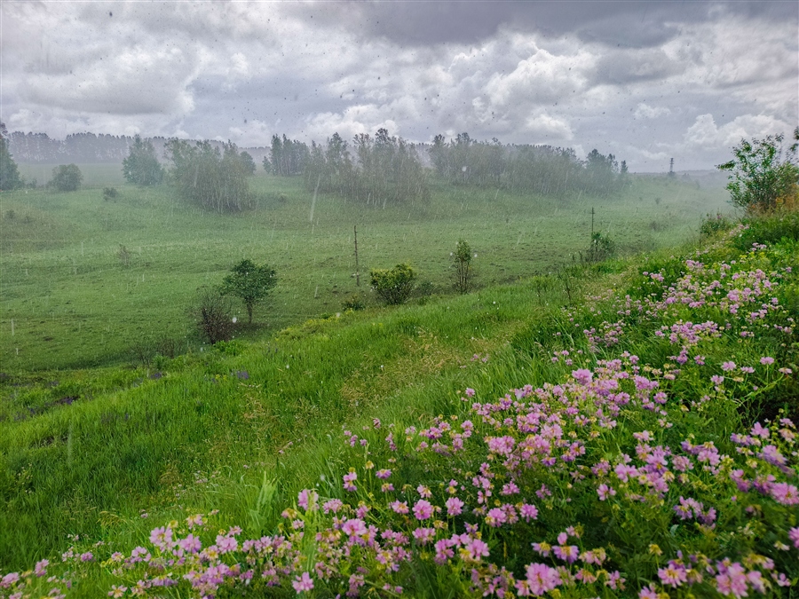 Фото жизнь