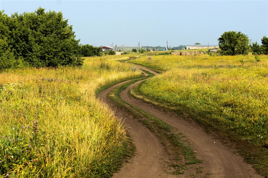 Фото жизнь