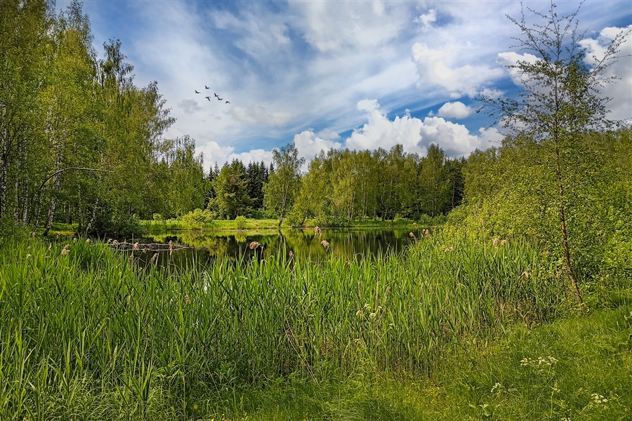 Фото жизнь