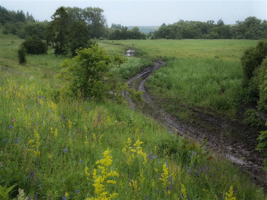 Фото жизнь