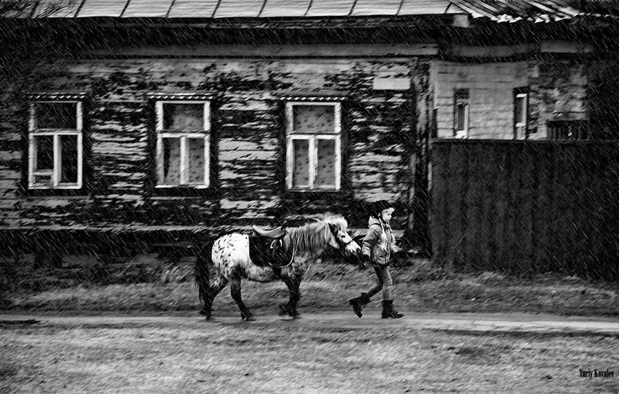 Фото жизнь