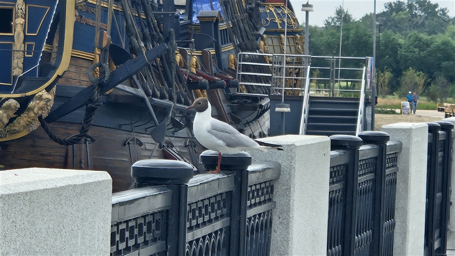 Фото жизнь