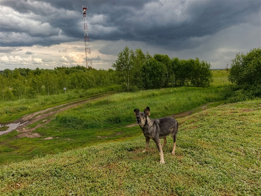 Фото жизнь