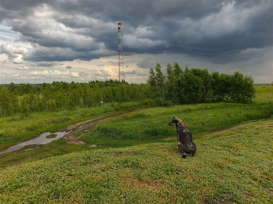 Фото жизнь
