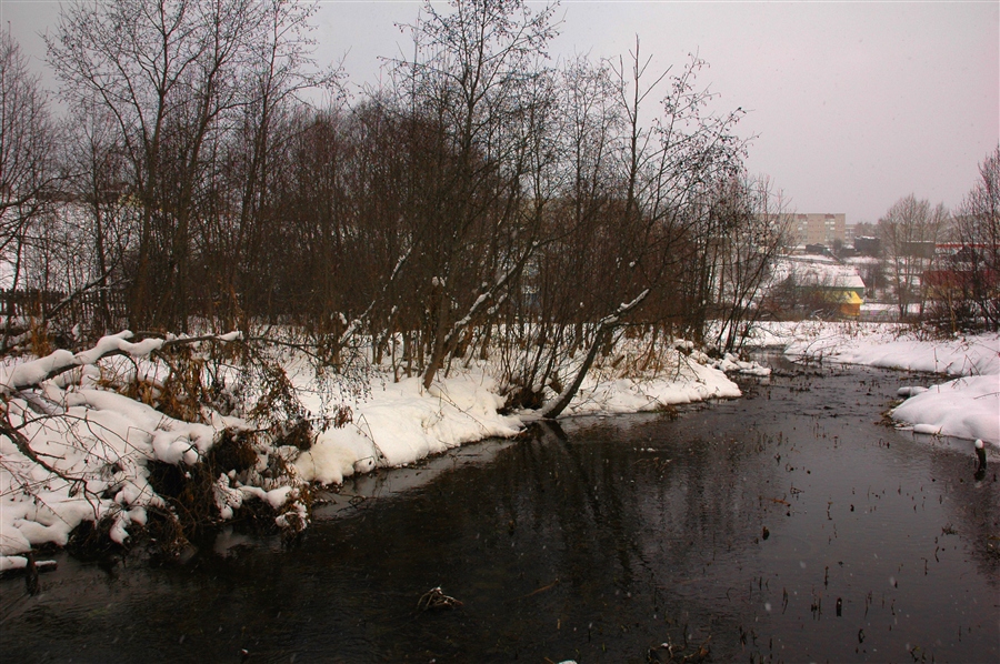 Фото жизнь