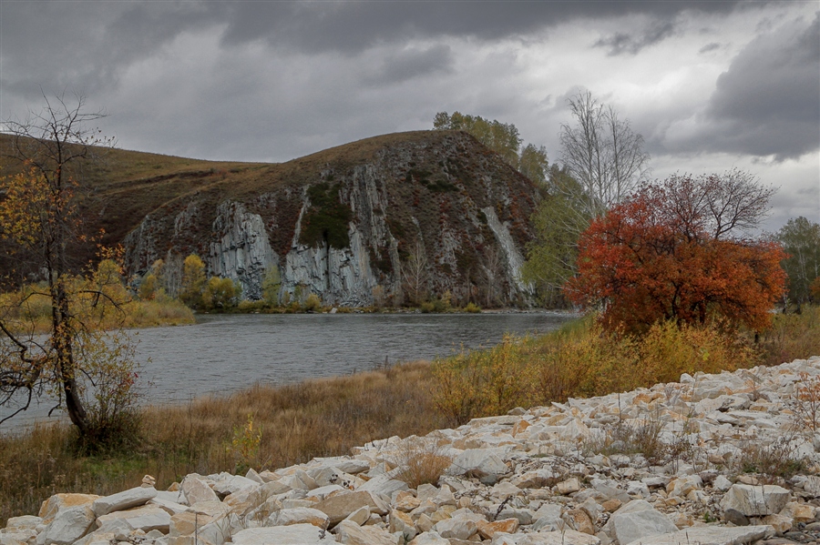 Фото жизнь