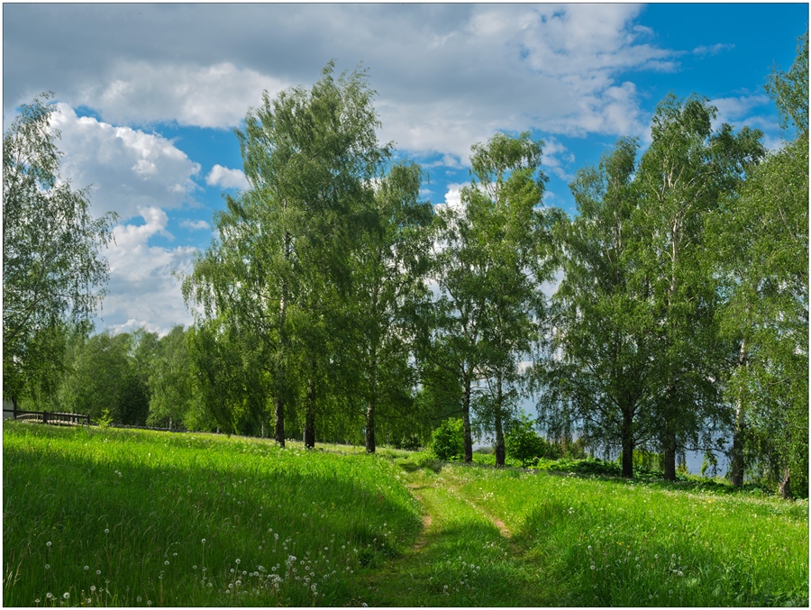 Фото жизнь