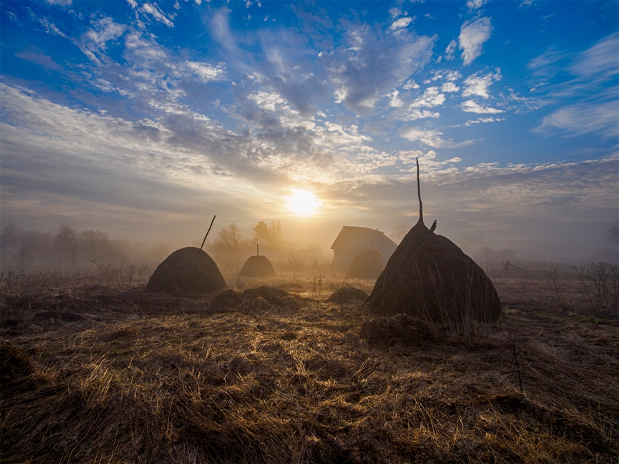 Фото жизнь