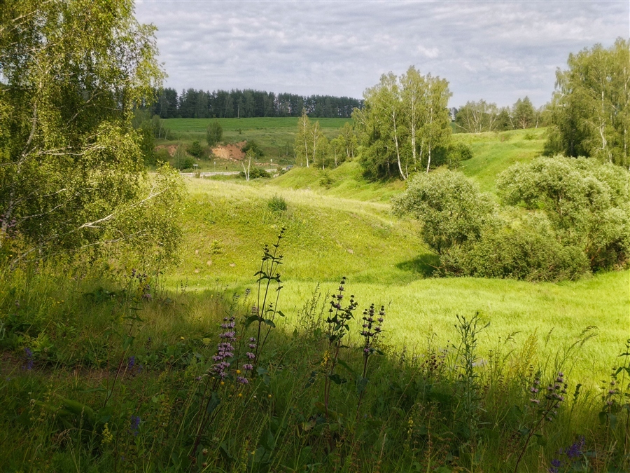 Фото жизнь