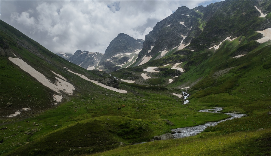 Фото жизнь