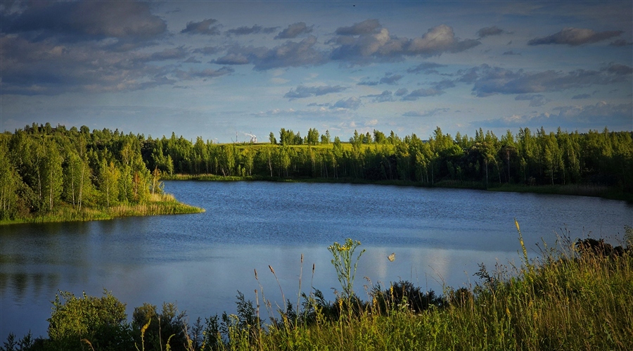 Фото жизнь