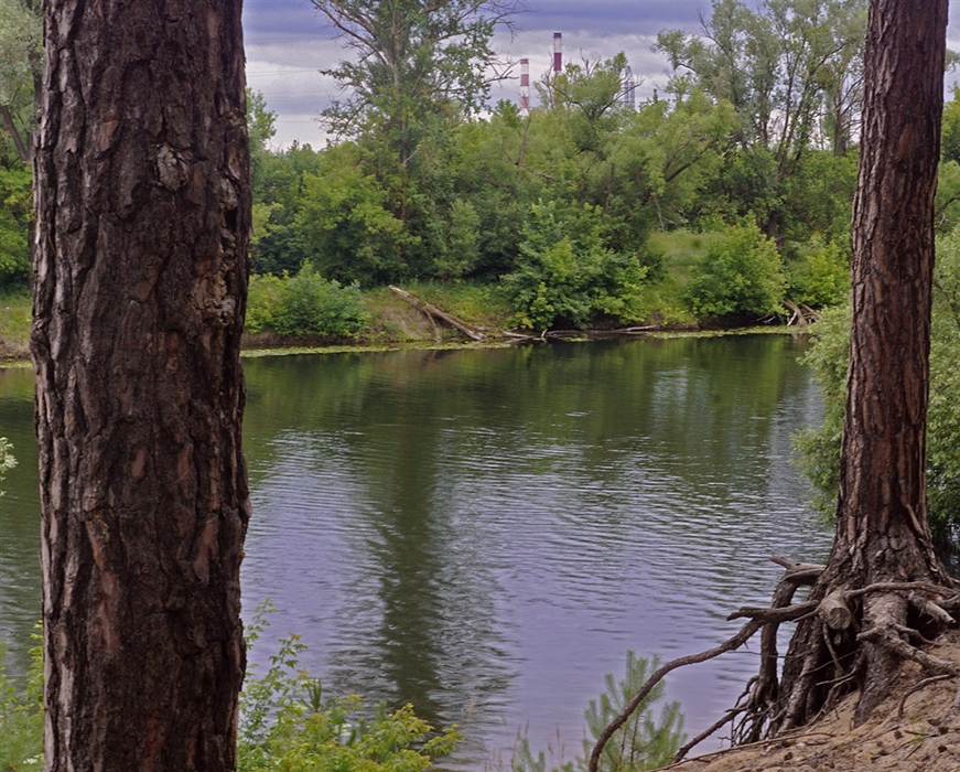 Фото жизнь