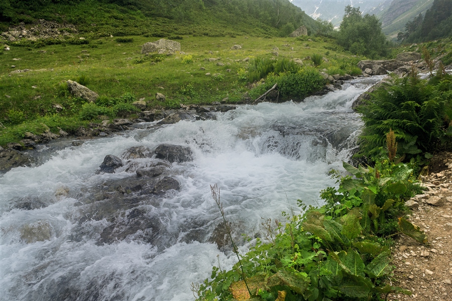 Фото жизнь