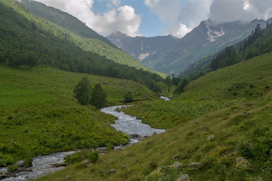 Фото жизнь