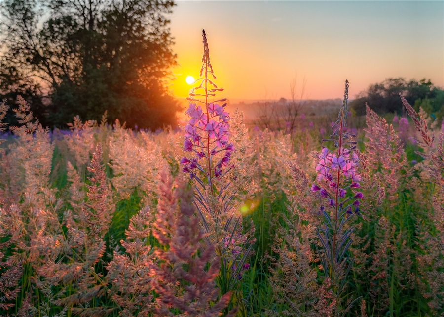 Фото жизнь