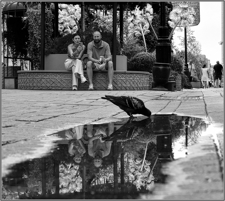 Фото жизнь