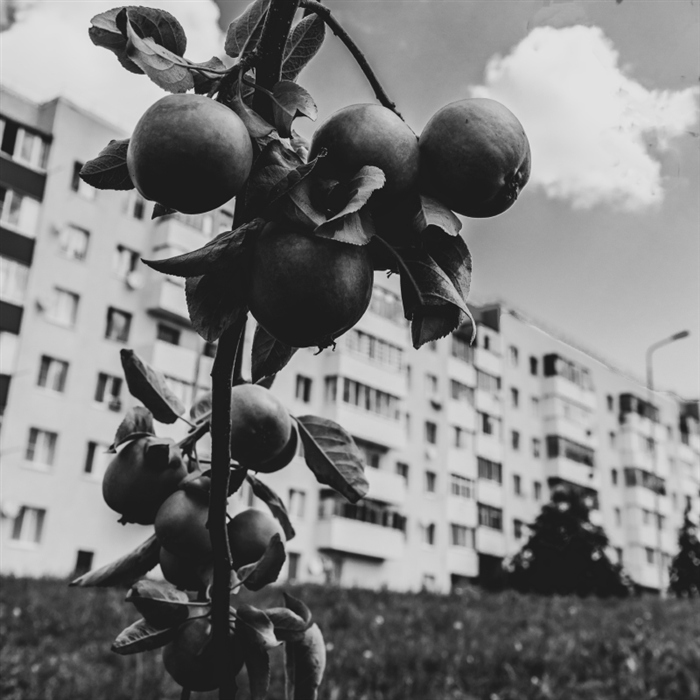 Фото жизнь