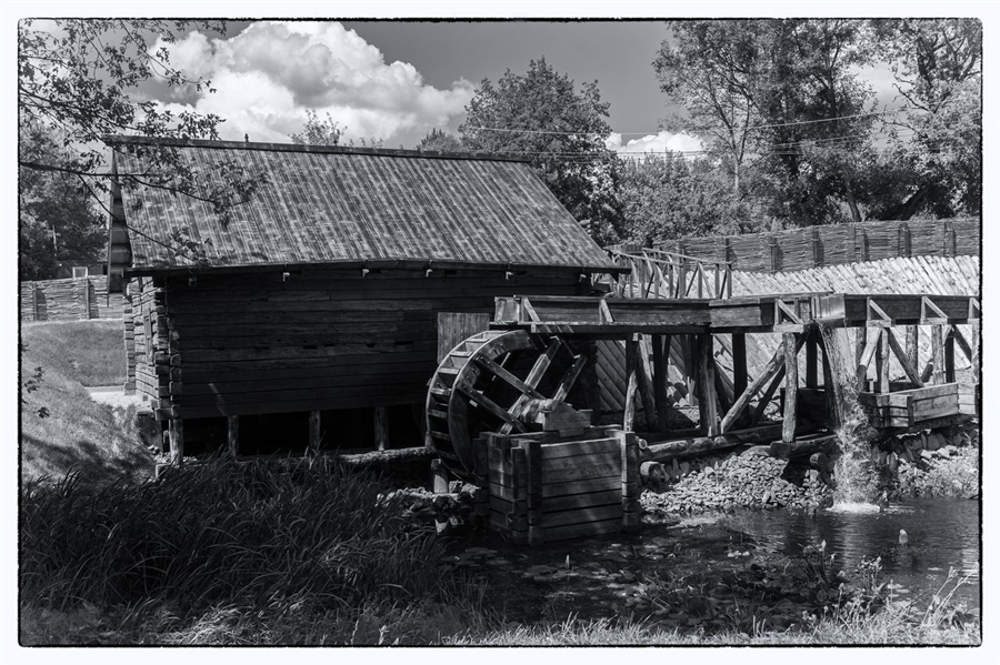Фото жизнь