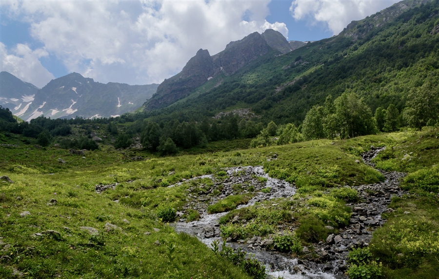 Фото жизнь