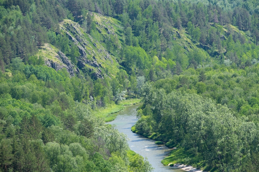 Фото жизнь