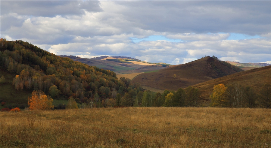 Фото жизнь