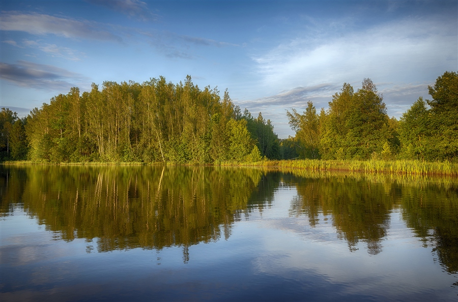 Фото жизнь