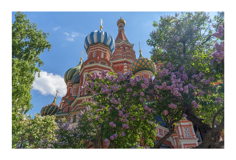 Фото жизнь
