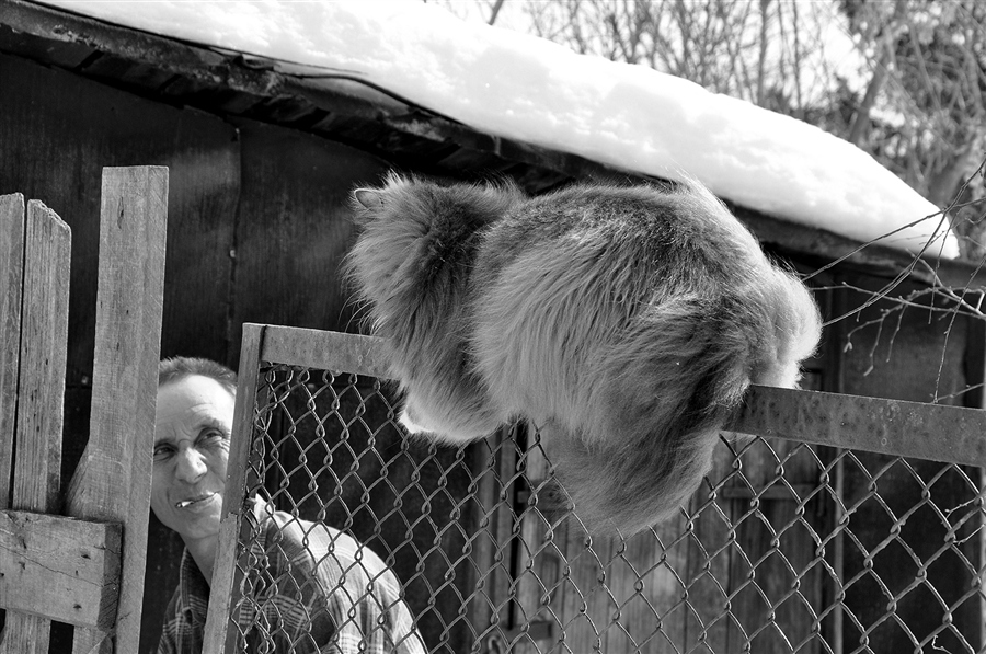 Фото жизнь
