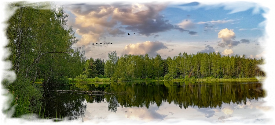 Фото жизнь