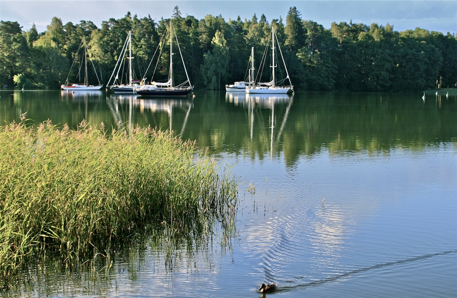 Фото жизнь