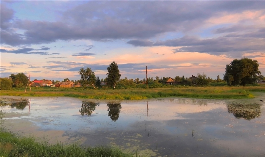 Фото жизнь
