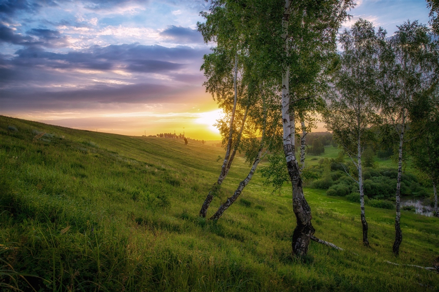 Фото жизнь