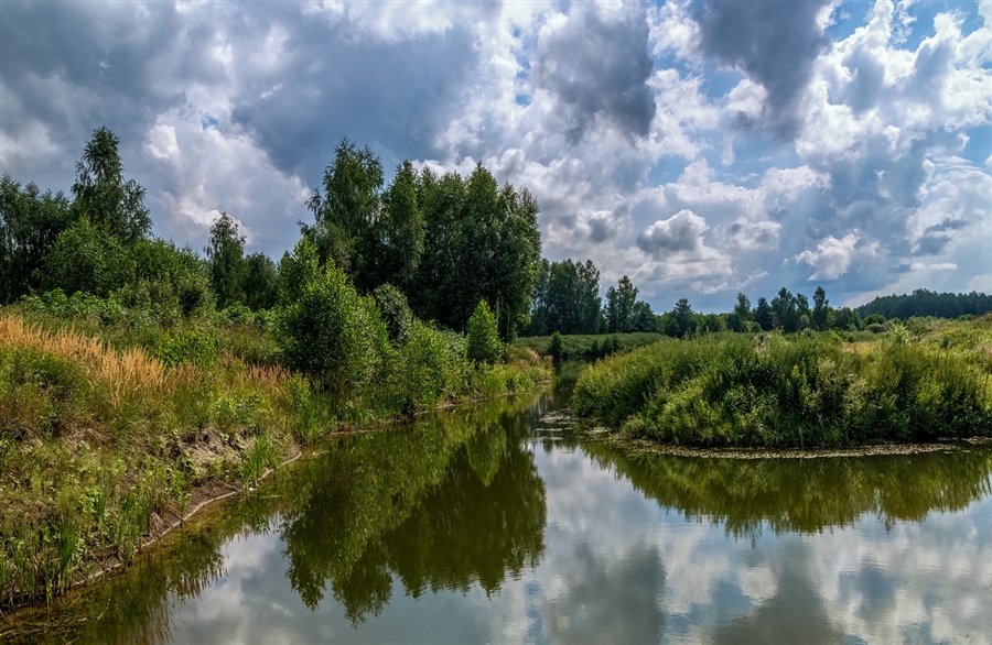 Фото жизнь
