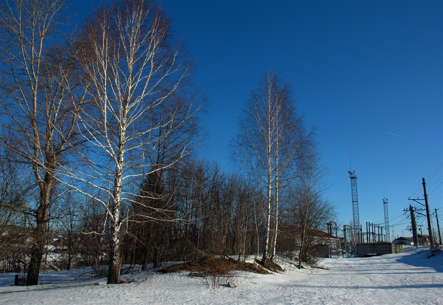 Фото жизнь