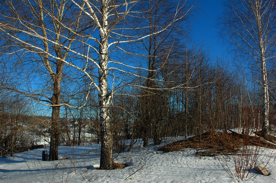 Фото жизнь