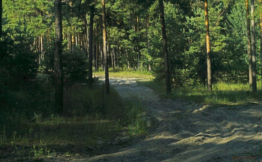 Фото жизнь