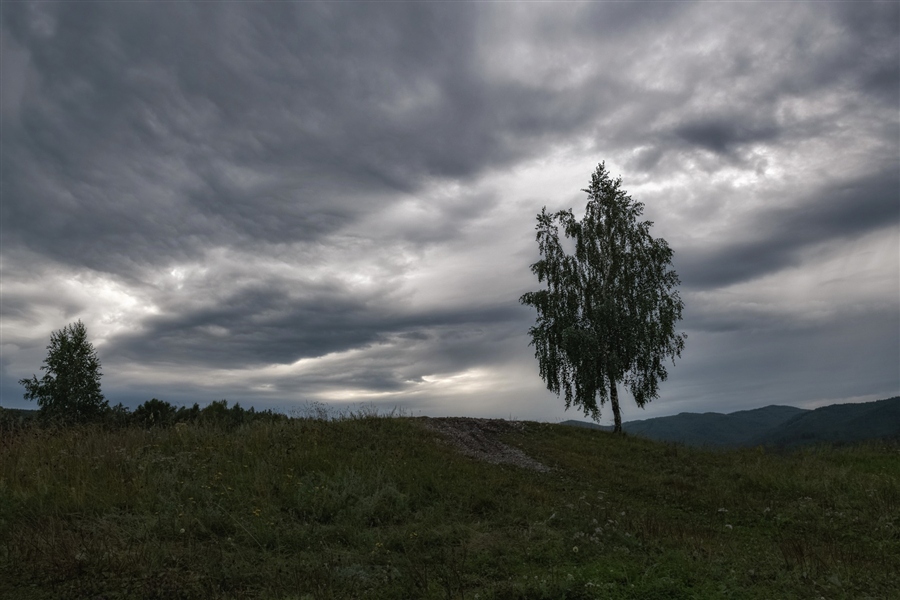 Фото жизнь