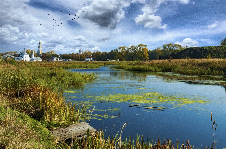Фото жизнь