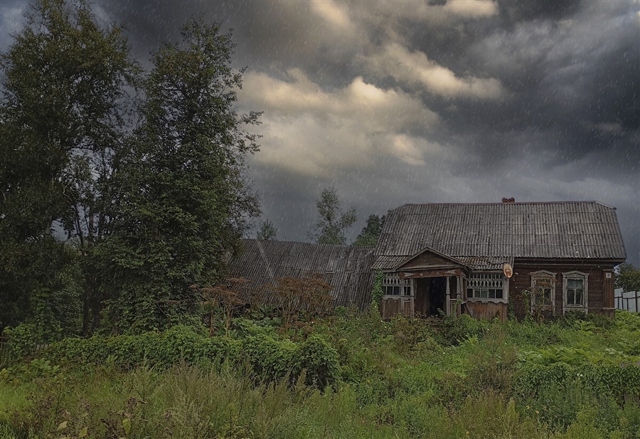 Фото жизнь