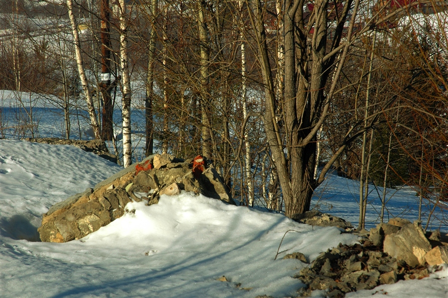 Фото жизнь