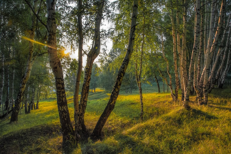 Фото жизнь