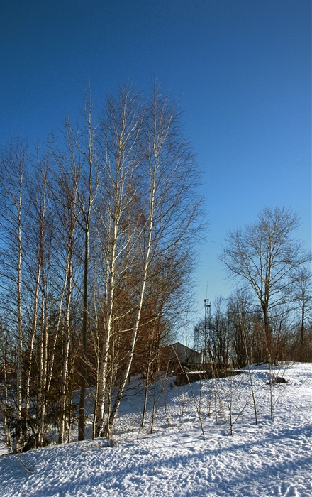 Фото жизнь