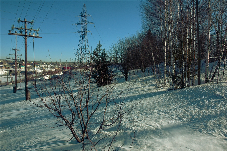 Фото жизнь