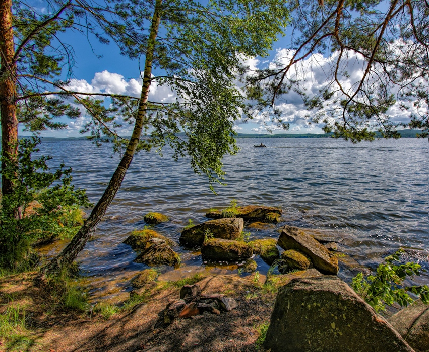 Фото жизнь