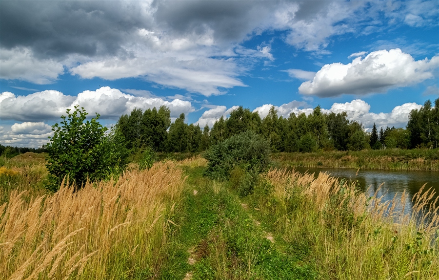 Фото жизнь