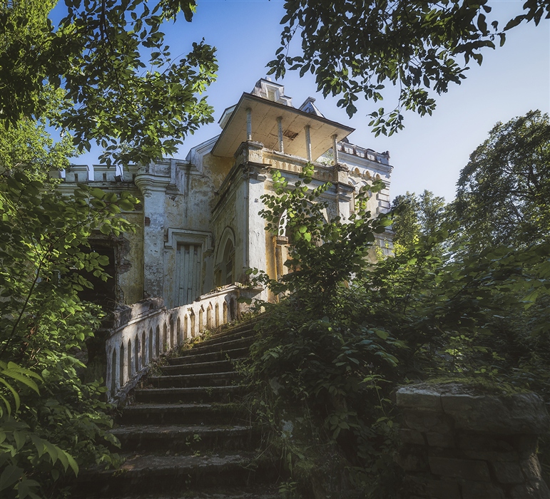 Фото жизнь