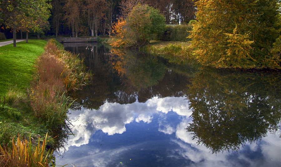 Фото жизнь