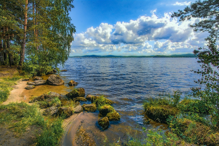 Фото жизнь