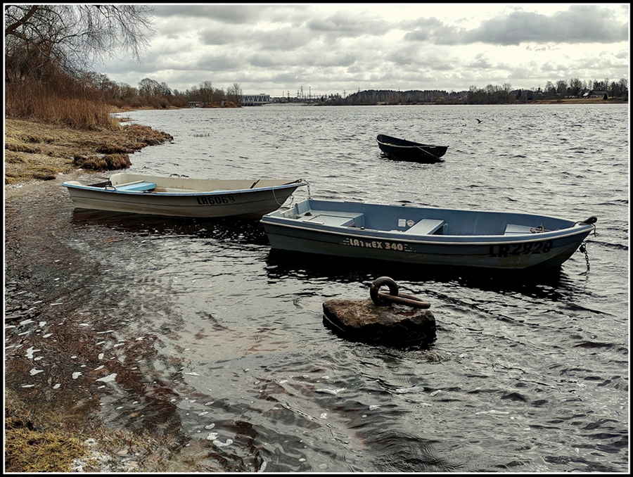 Фото жизнь